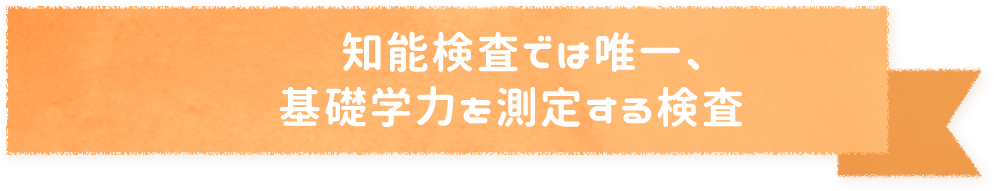 知能検査では唯一、基礎学力を測定する検査
